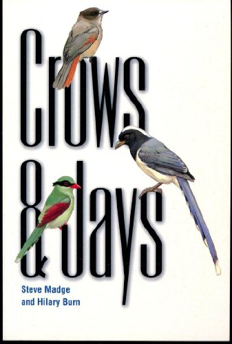 Imagen de archivo de Crows and Jays a la venta por Better World Books