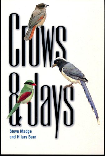Stock image for Crows and Jays. for sale by FCD Books & More