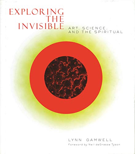 9780691089720: Exploring the invisible : art, science and the spiritual: Art, Science, and the Spiritual - Second Edition