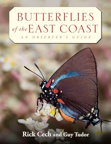 9780691090559: Butterflies of the East Coast: An Observer's Guide