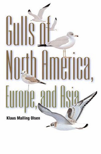 Stock image for Gulls of North America, Europe, and Asia for sale by Fahrenheit's Books