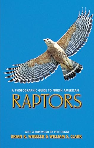 Stock image for A Photographic Guide to North American Raptors for sale by KuleliBooks