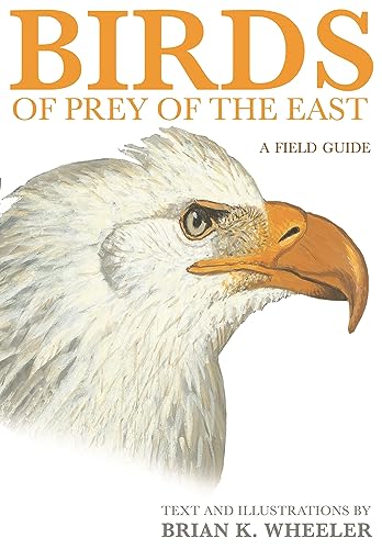 Stock image for Birds of Prey of the East: A Field Guide for sale by Books-FYI, Inc.