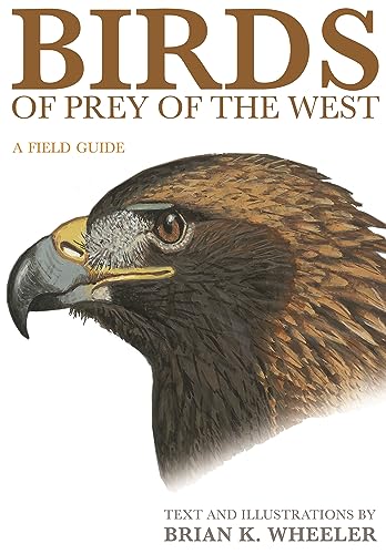 Stock image for Birds of Prey of the West: A Field Guide for sale by Books-FYI, Inc.
