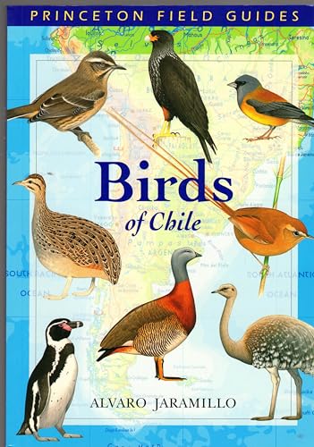 Birds of Chile (Princeton Field Guides, 28) (9780691117409) by Jaramillo, Alvaro