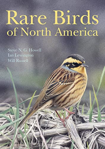 9780691117966: Rare Birds of North America