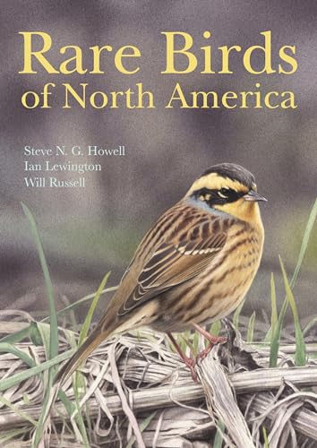 Stock image for Rare Birds of North America for sale by Dream Books Co.