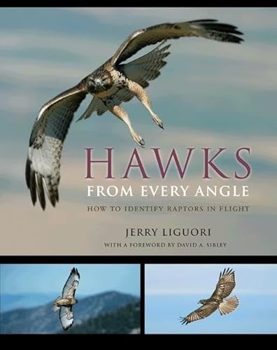 Imagen de archivo de Hawks from Every Angle: How to Identify Raptors In Flight a la venta por Dream Books Co.