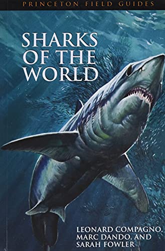 Stock image for Sharks of the World (Princeton Field Guides, 34) for sale by Goodwill Books