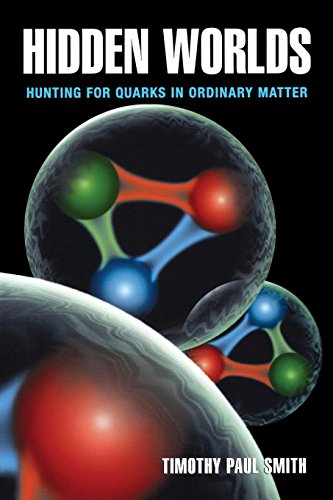 9780691122410: Hidden Worlds: Hunting for Quarks in Ordinary Matter