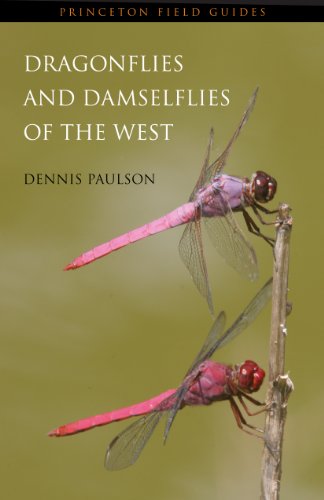 Dragonflies and Damselflies of the West (Princeton Field Guides) - PAULSON, Dennis
