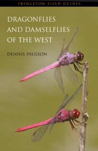 9780691122809: Dragonflies and Damselflies of the West (Princeton Field Guides, 49)