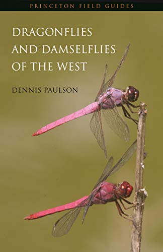 Stock image for Dragonflies and Damselflies of the West (Princeton Field Guides, 47) for sale by -OnTimeBooks-