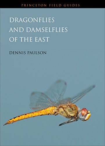 9780691122823: Dragonflies and Damselflies of the East (Princeton Field Guides, 80)