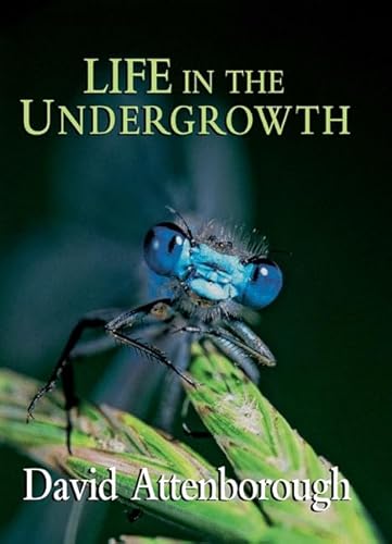 Beispielbild fr Life in the Undergrowth zum Verkauf von Better World Books