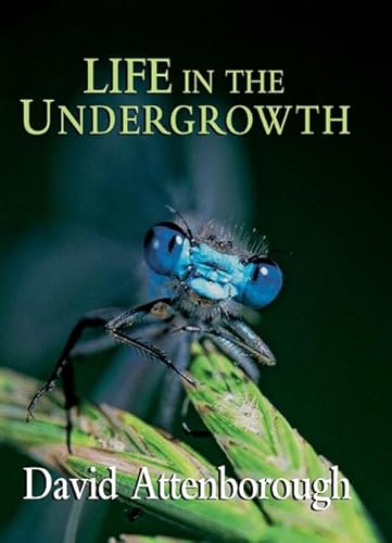 9780691127033: Life in the Undergrowth