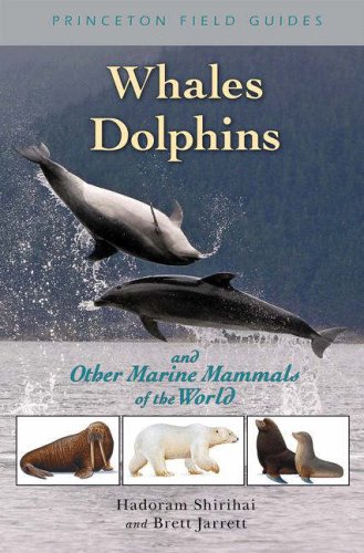 Stock image for Whales, Dolphins, and Other Marine Mammals of the World (Princeton Field Guides, 41) for sale by Booksavers of MD