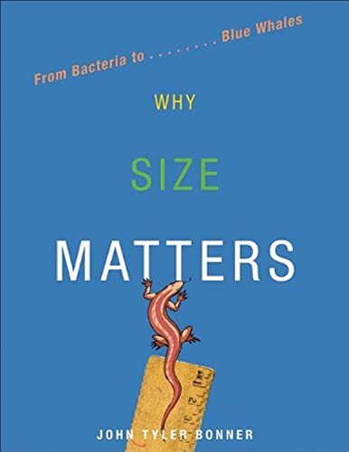 Stock image for Why Size Matters: From Bacteria to Blue Whales for sale by BookEnds Bookstore & Curiosities