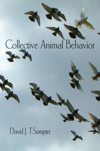 9780691129631: Collective Animal Behavior