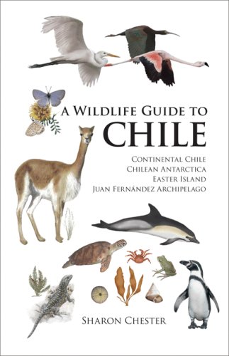 Stock image for A Wildlife Guide to Chile: Continental Chile, Chilean Antarctica, Easter Island, Juan Fernández Archipelago for sale by Michael Knight, Bookseller