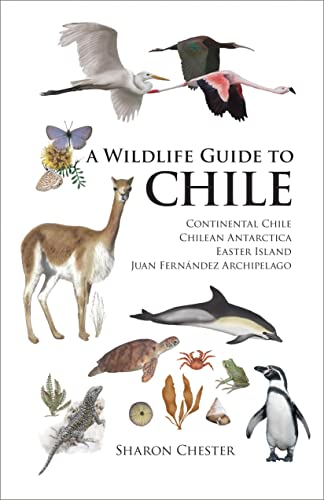 Stock image for A Wildlife Guide to Chile: Continental Chile, Chilean Antarctica, Easter Island, Juan Fernndez Archipelago for sale by Muse Book Shop