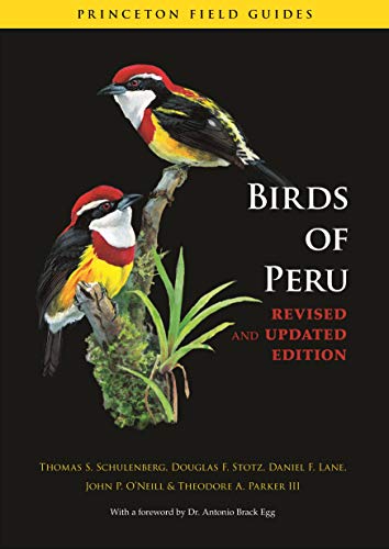 Beispielbild fr Birds of Peru zum Verkauf von Blackwell's