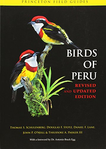 Stock image for Birds of Peru: Revised and Updated Edition (Princeton Field Guides, 63) for sale by Muse Book Shop