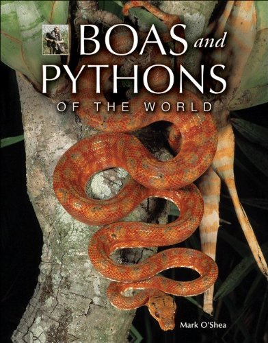 9780691131009: Boas and Pythons of the World