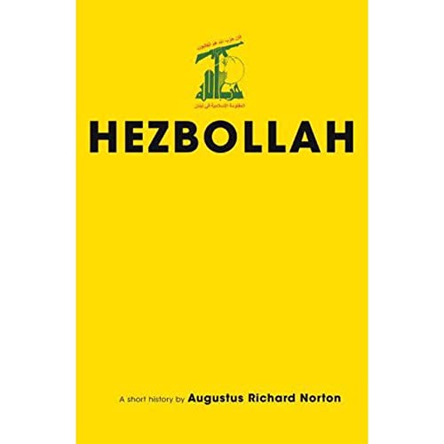 Stock image for Hezbollah: A Short History (Princeton Studies in Muslim Politics, 22) for sale by Housing Works Online Bookstore
