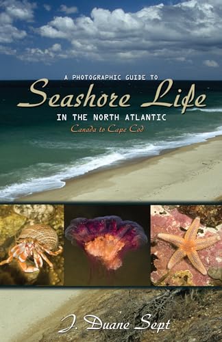 Beispielbild fr A Photographic Guide to Seashore Life in the North Atlantic: Canada to Cape Cod zum Verkauf von SecondSale