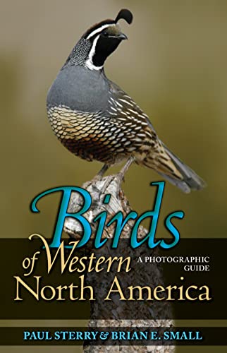 Stock image for Birds of Western North America: A Photographic Guide a Photographic Guide for sale by ThriftBooks-Atlanta