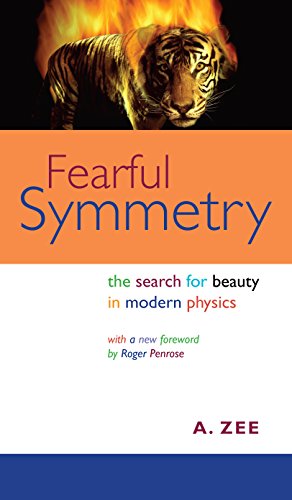 9780691134826: Fearful Symmetry: The Search for Beauty in Modern Physics (Princeton Science Library, 48)