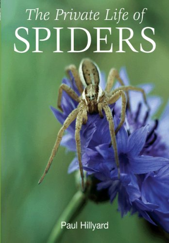 9780691135526: The Private Life of Spiders