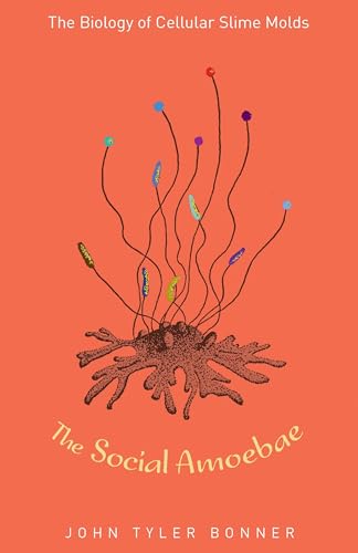 Stock image for The Social Amoebae: The Biology of Cellular Slime Molds for sale by ZBK Books