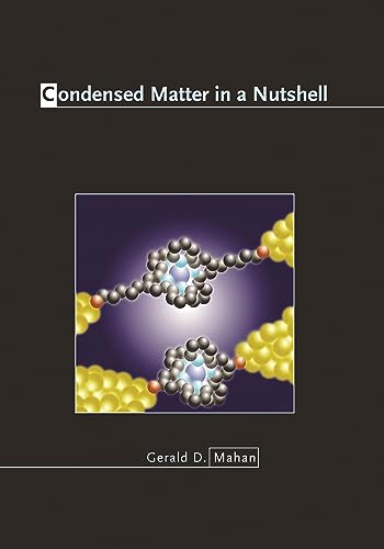 9780691140162: Condensed Matter in a Nutshell: 8
