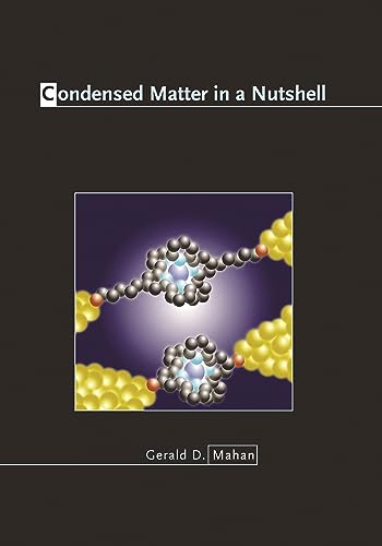 9780691140162: Condensed Matter in a Nutshell (In a Nutshell, 8)