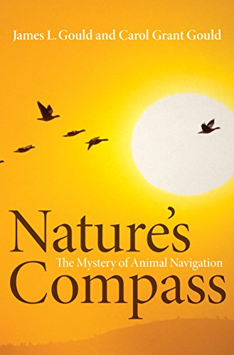 Beispielbild fr Nature's Compass: The Mystery of Animal Navigation (Science Essentials, 16) zum Verkauf von SecondSale