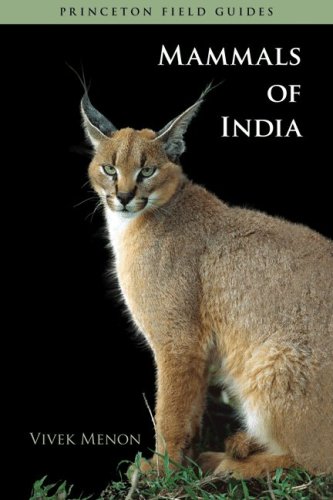 Stock image for Mammals of India (Princeton Field Guides (52)) for sale by Smith Family Bookstore Downtown