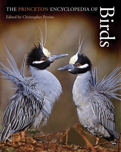 9780691140704: The Princeton Encyclopedia of Birds