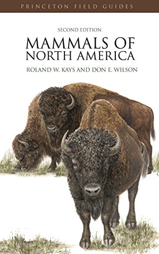 Beispielbild fr Mammals of North America: Second Edition (Princeton Field Guides, 58) zum Verkauf von Zoom Books Company