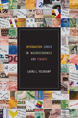 9780691142203: Information Choice in Macroeconomics and Finance