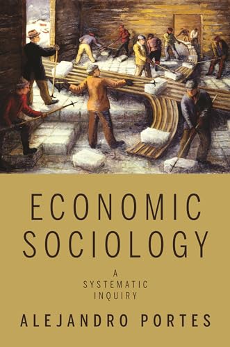 Economic Sociology: A Systematic Inquiry (9780691142234) by Portes, Alejandro