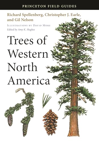 Stock image for Trees of Western North America for sale by ThriftBooks-Atlanta