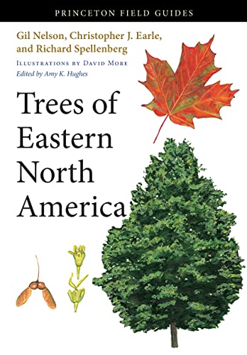 9780691145914: Trees of Eastern North America: 93 (Princeton Field Guides, 93)