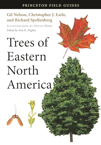 Stock image for Trees of Eastern North America (Princeton Field Guides, 93) for sale by GF Books, Inc.