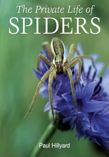 Stock image for The Private Life of Spiders for sale by HPB-Emerald