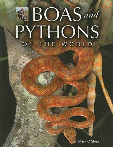 Beispielbild fr Boas and Pythons of the World zum Verkauf von Books-FYI, Inc.