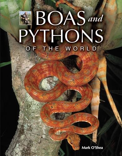 Stock image for Boas and Pythons of the World for sale by Books-FYI, Inc.
