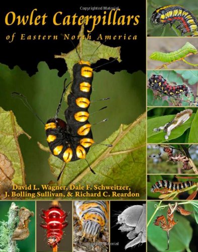 Owlet Caterpillars of Eastern North America (9780691150420) by Wagner, David L.; Schweitzer, Dale F.; Sullivan, J. Bolling; Reardon, Richard C.