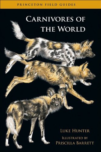 Imagen de archivo de Carnivores of the World (Princeton Field Guides, 78) a la venta por Recycle Bookstore